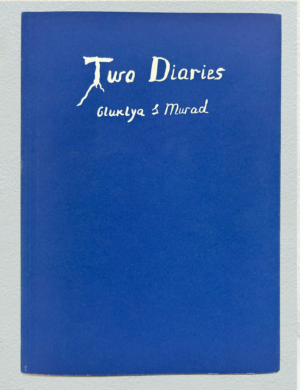 Two Diaries: Gluklya and Murad art book akinci galerie