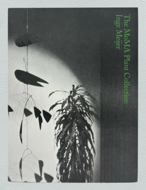 Inge Meijer The Plant Collection MoMA art book AKINCI gallery